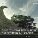 산호성 이미지