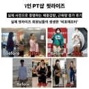 핏라이즈 | 두산동헬스 핏라이즈 가격 후기