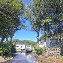 담안농장 이미지