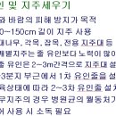 고추재배기술 11탄 - 시설원예시험장 이미지