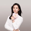 류시시 카카오 검색결과