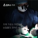 알프스치과기공소 네이버블로그