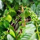 우가농장 이미지