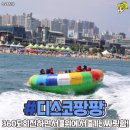 일산디스코팡팡 이미지