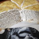 엔젤1호 이미지