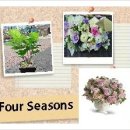 고은미즈의원 이미지