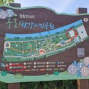 구리 한강시민공원 어린이 물놀이장 무료 개장(서울 인근 키즈존 갈만한곳)