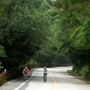 국토종주자전거길1-548 이미지