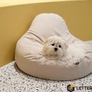 hododog(호도독) 이미지