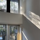 네스트(NEST) 이미지