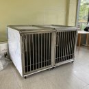 드린겐 애견테마파크 이미지