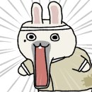 핑크냥이