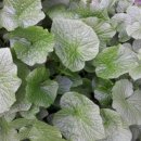 태백농장 이미지