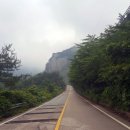 나무향기펜션 이미지