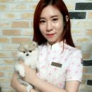 WITHPET