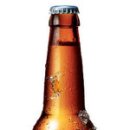 카스 라이트 카카오 검색결과