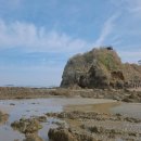 삼봉펜션 전 공터 | 태안 삼봉해수욕장 안면도 갯벌체험 고동잡이 가볼만한 곳 추천