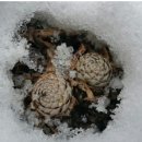 강인한농장 이미지