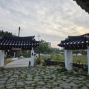 들꽃이 있는 바다 | 강릉 신상카페 들꽃이 예쁜 강문해변 근처 한옥 통창 카페