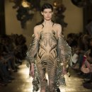 이리스(IRIS) 이미지