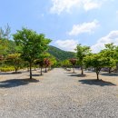 별바라기 캠핑 펜션 이미지