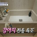 7월11일 구해줘 홈즈 욕실 속 또 하나의 욕조? 사람도 부러워할 강아지 전용 욕조 영상 이미지