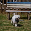 반디빌리지 이미지