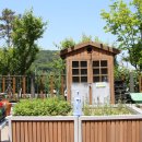 천년나무행복작은도서관 이미지