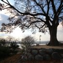 강경-4 네이버블로그