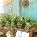 물가민박 이미지