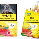 선셋비치
