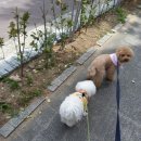 쏠티유치원 이미지