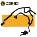 퍼지