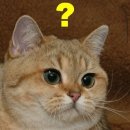 가오리PC 이미지