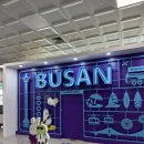 다다목장 | 여행: 우리함께 나트랑달랏으로 떠나요 💚⛳️🌿🌴