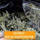 싱싱야채청과 이미지