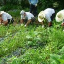 재오농장 이미지