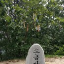 부산시민회관 앞 사거리 이미지