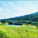 시원한 농장 이미지