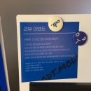 스테이 청춘 이미지