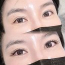142뷰티 | 대구속눈썹 찾아보다 방문한 슈엘뷰티 솔직 후기