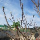 박용수농장 이미지