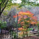 매봉산장 이미지