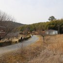 윗속말 Daum카페