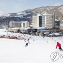 비발디파크