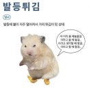 기억을 더듬고 더듬어 남겨보는 3월(에 먹은거) 모음.zip