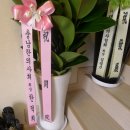 한덕희한의원 네이버블로그