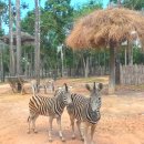 비엔비클럽 | 푸꾸옥 4박 6일 여행 총비용 공개Ⅰ성인 6인 가족, 항공권 제외 내돈내산