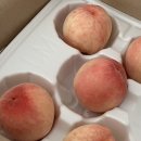 지희네펜션 | [Daily, 177]