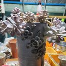 화수분농장 이미지